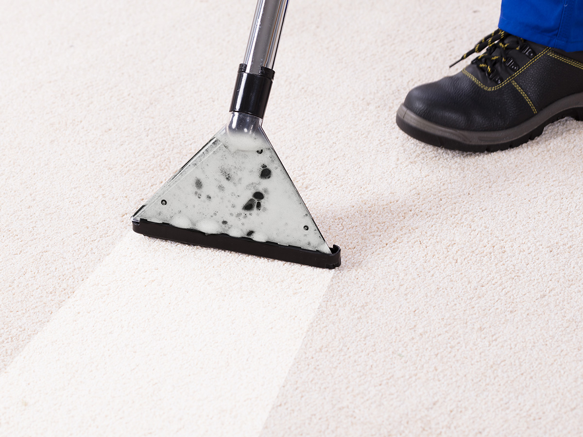 Image of a shampooer making a clean streak in a dirty carpet
