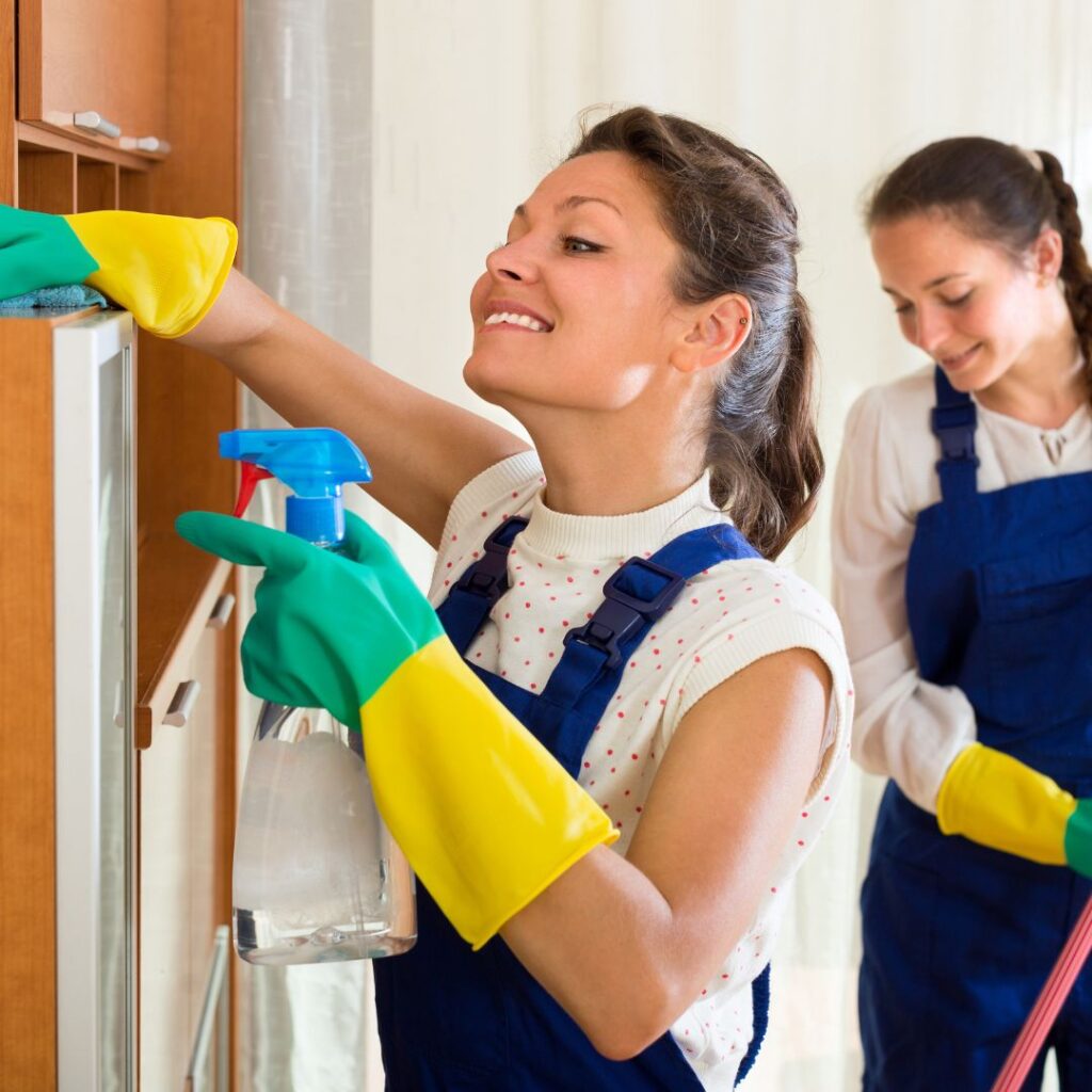 Two cleaners working