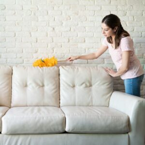img of someone cleaning