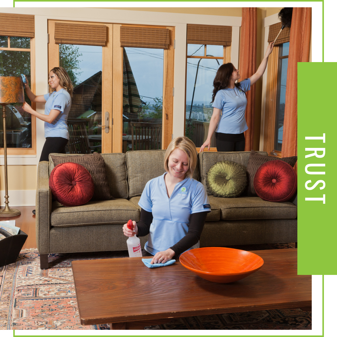 Image - April Lane's Cleaning crew cleaning a living room. Text - Trust