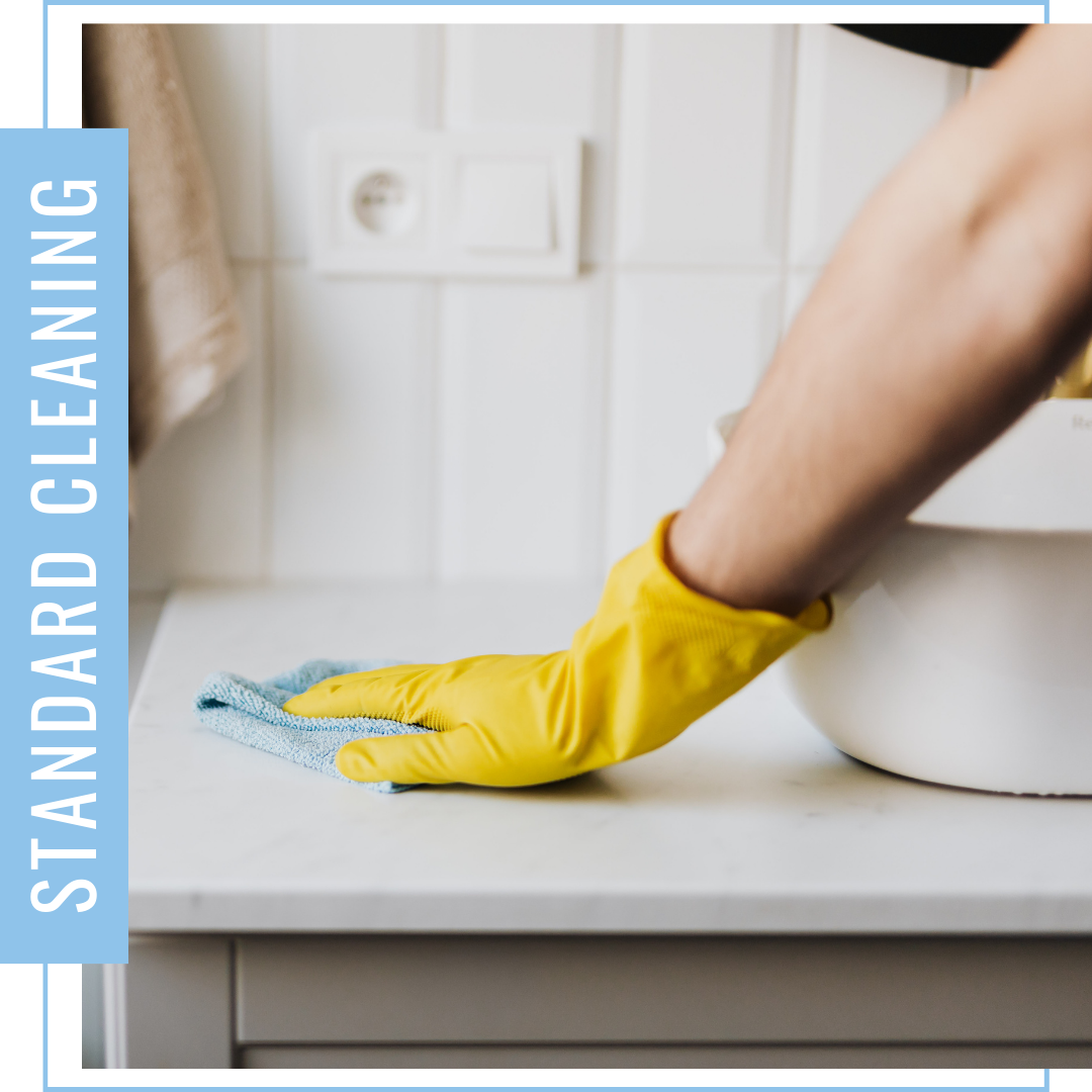 Recurring Cleaning Services in Montlake - Image 3