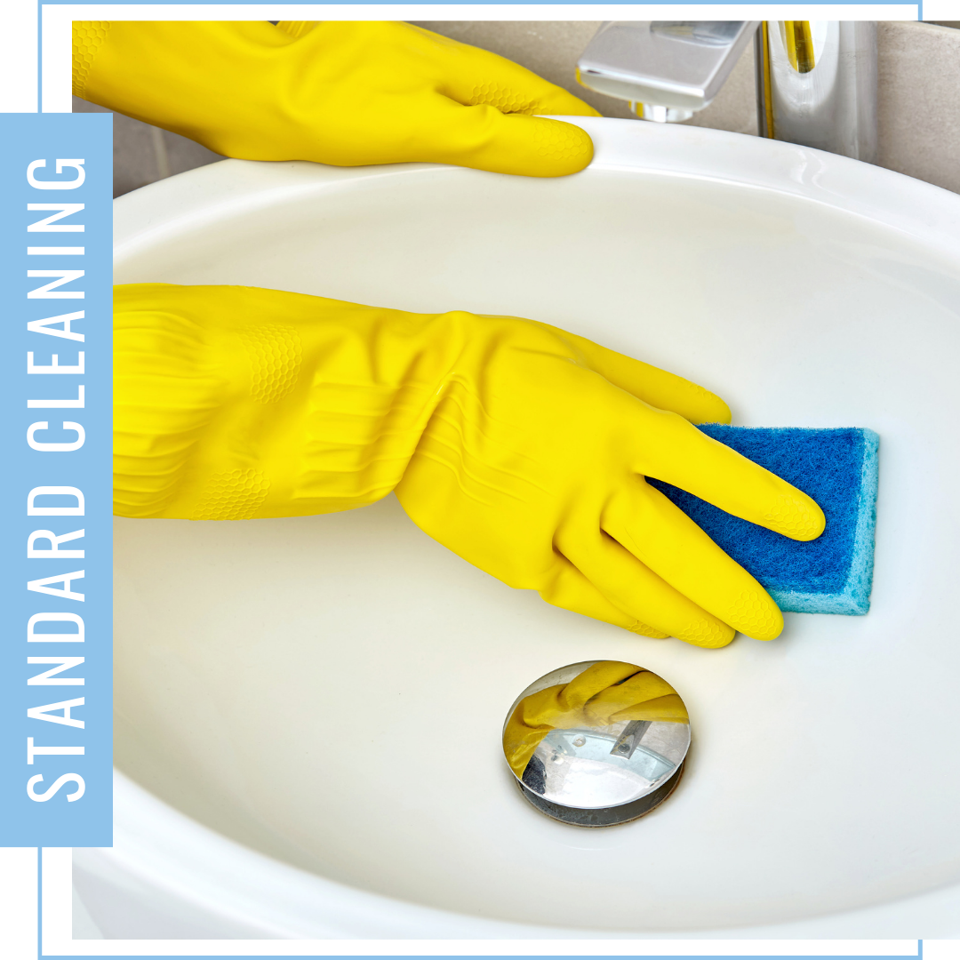 Recurring Cleaning Services in Mt. Baker - Image 3